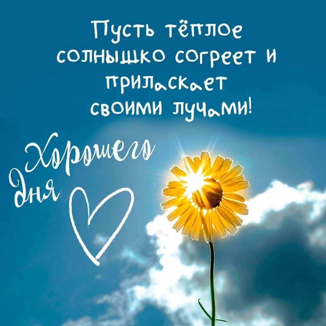 Смешные истории и свежие анекдоты для отличного настроения