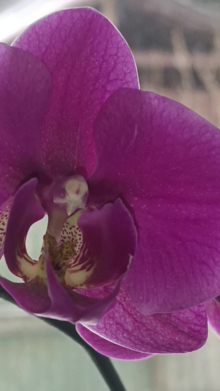 "ГИДРОПРИБОР" / 8 марта близко-близко.../ часть 1.