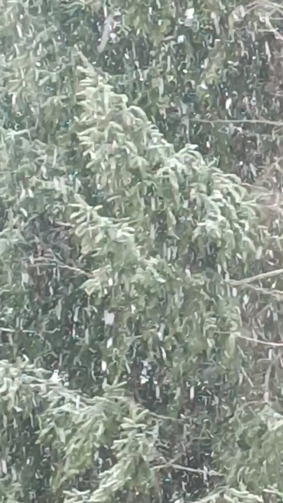 "ГИДРОПРИБОР" / 8 марта близко-близко.../ часть 1.