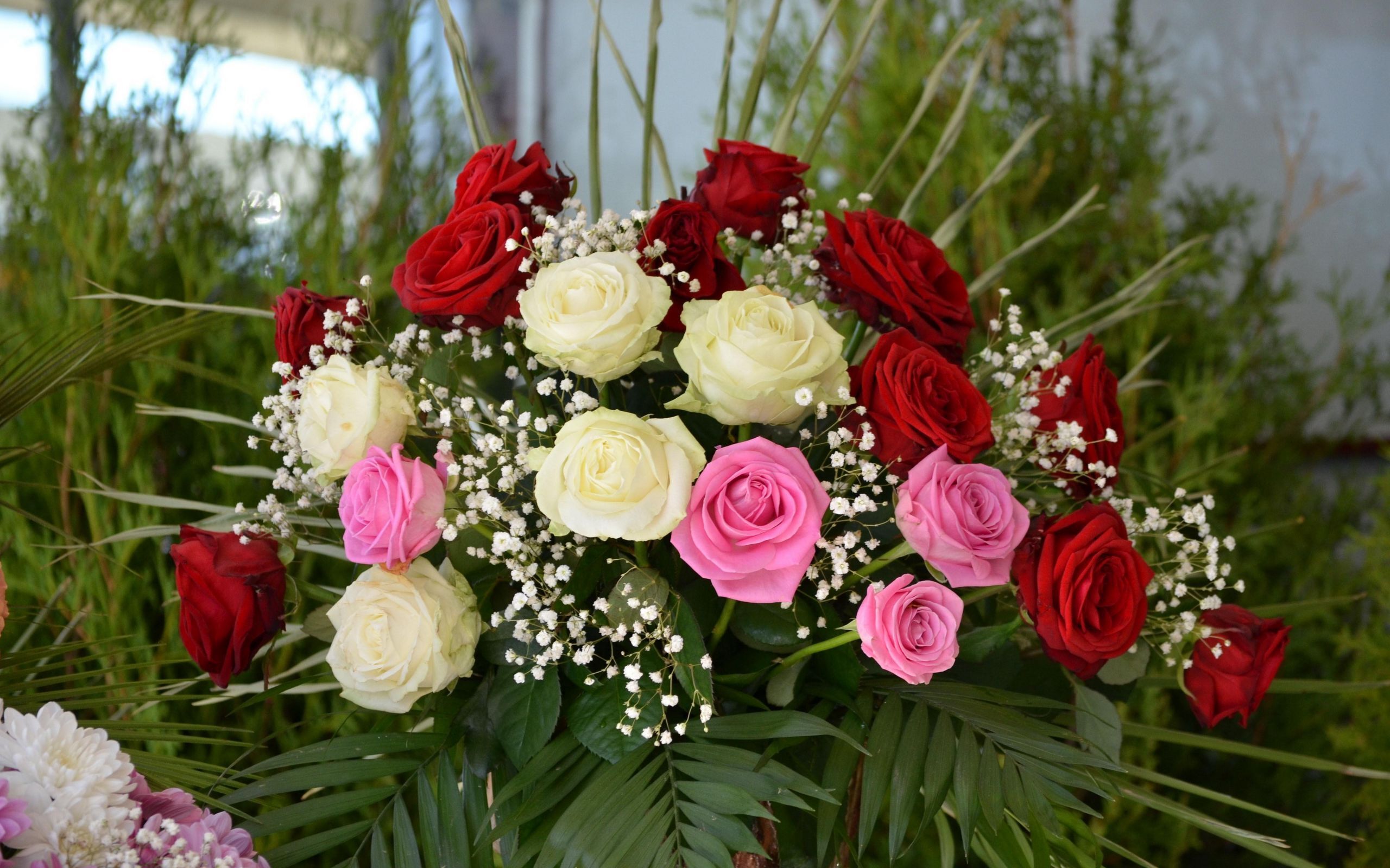 Поздравление всем дорогим и любимым женщинам