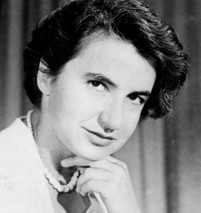 Великие женщины-ученые: истории вдохновения Партнёрская публикация 5 марта