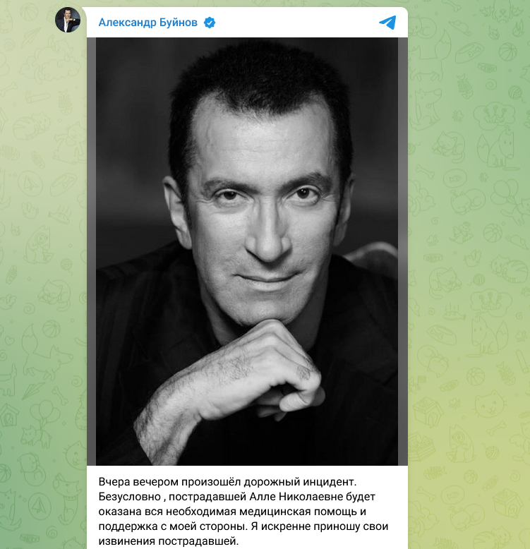 Лексус, штрафы и лечение за госсчёт. Ответит ли Буйнов перед сбитой пенсионеркой «в рамках закона»?