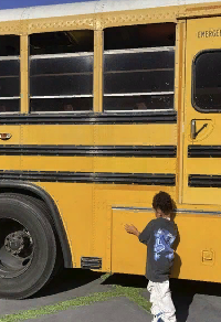 Пока обсуждают статью про экономию электричества, негодуя при этом, селебрити придумывают новые способы, куда потратить деньги