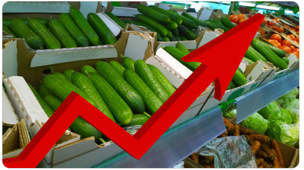 Как растут цены на овощи из-за санкций и стоит ли ждать снижения