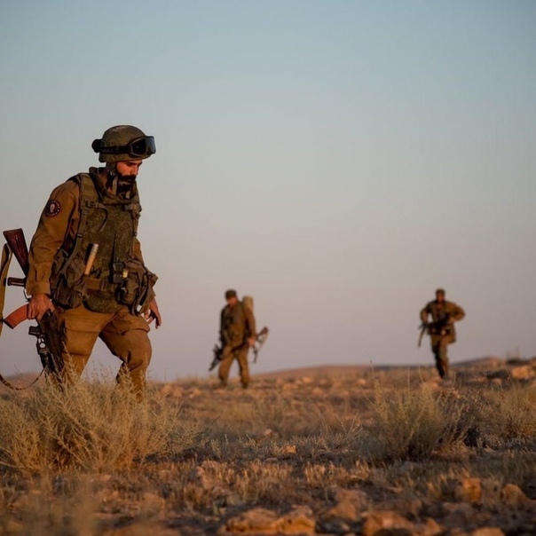 Африканский корпус. Что это?🤔