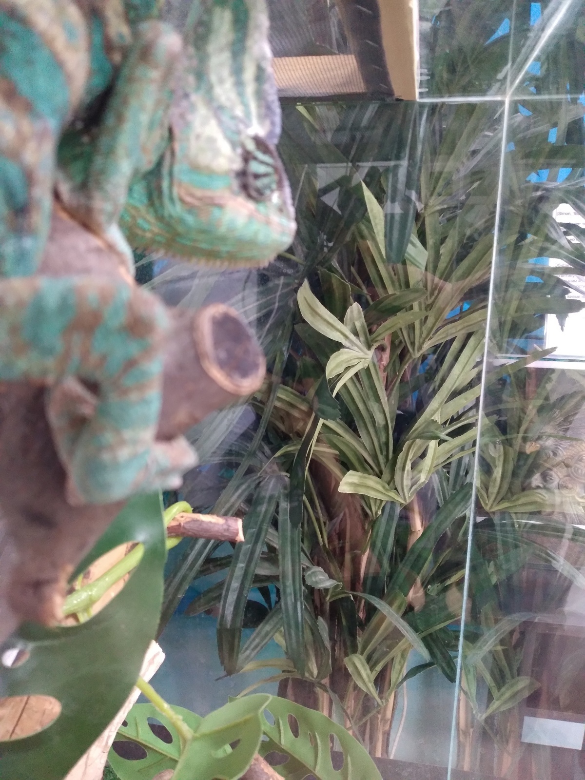 Контактный зоопарк зло или добро?