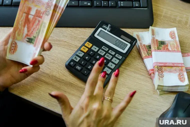 Введут зарплату для домохозяек