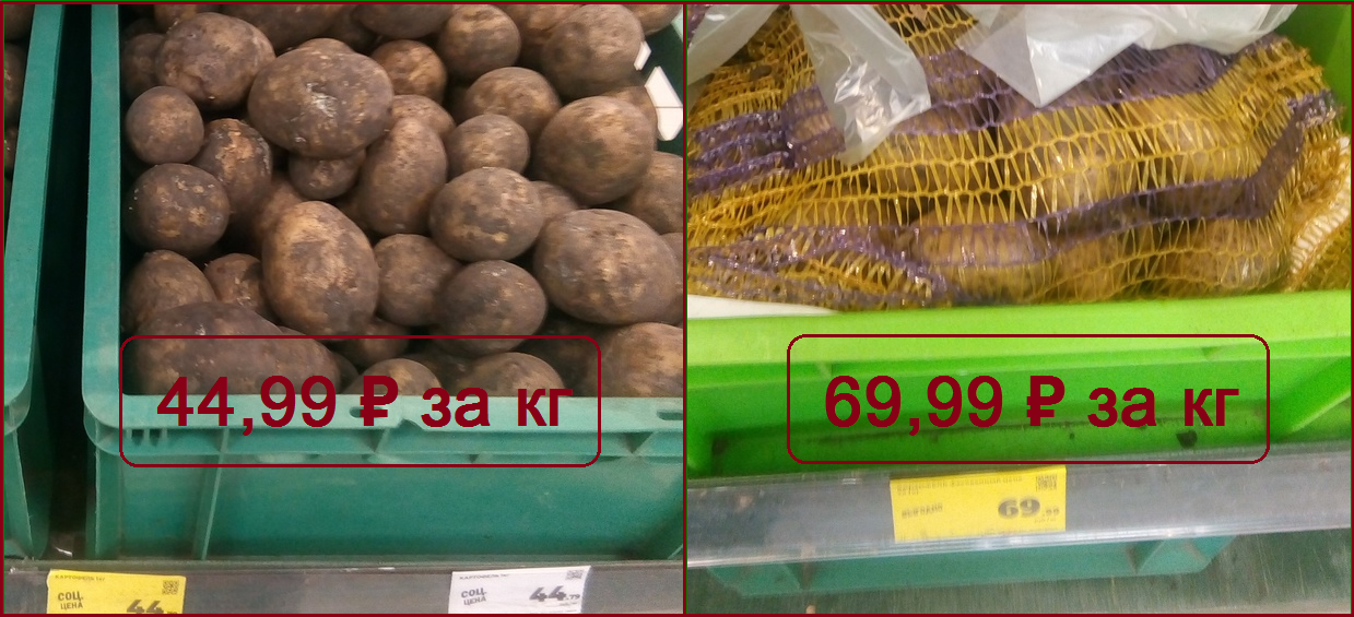 Показываю разницу цен за три месяца на овощи и фрукты в «Магните». Вы можете удивиться!