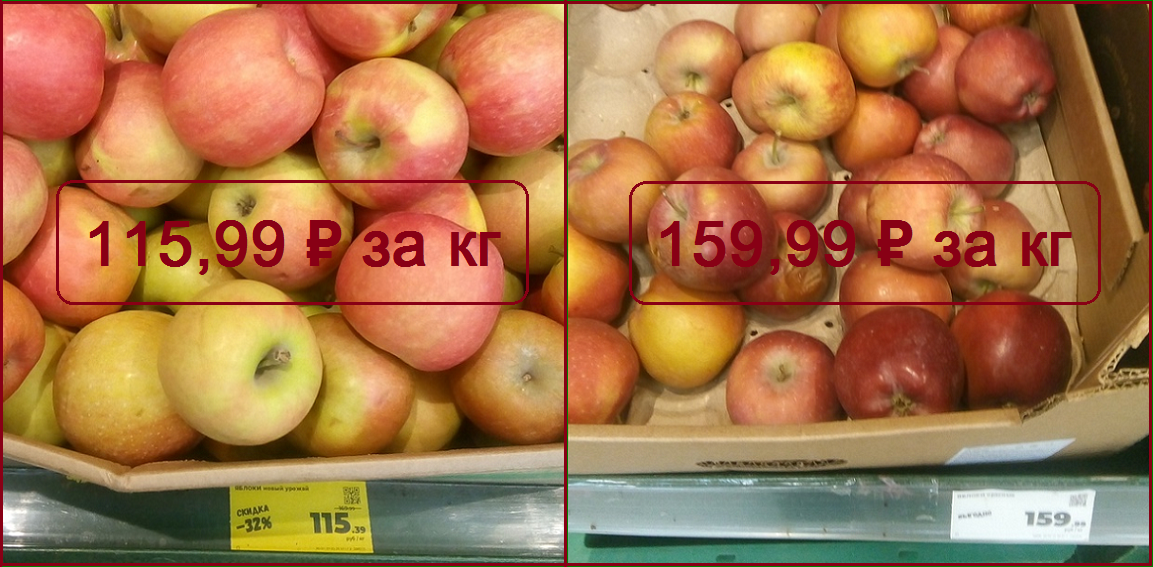 Показываю разницу цен за три месяца на овощи и фрукты в «Магните». Вы можете удивиться!