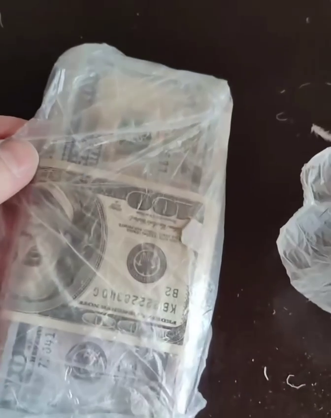 Клинер из Беларуси нашел в подушке клиентки более 4000 долларов