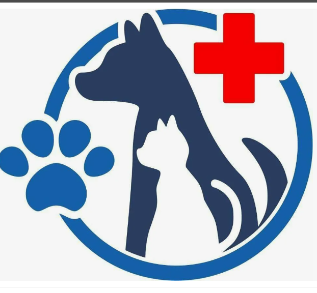 Рентген котёнку и рентген ребёнку – что дороже?