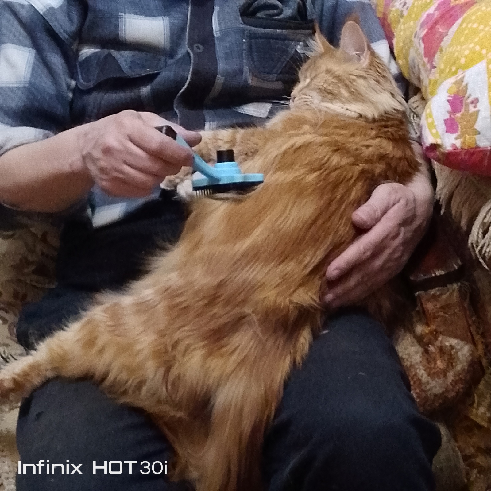 Наш маленький огородик у дома,середина марта