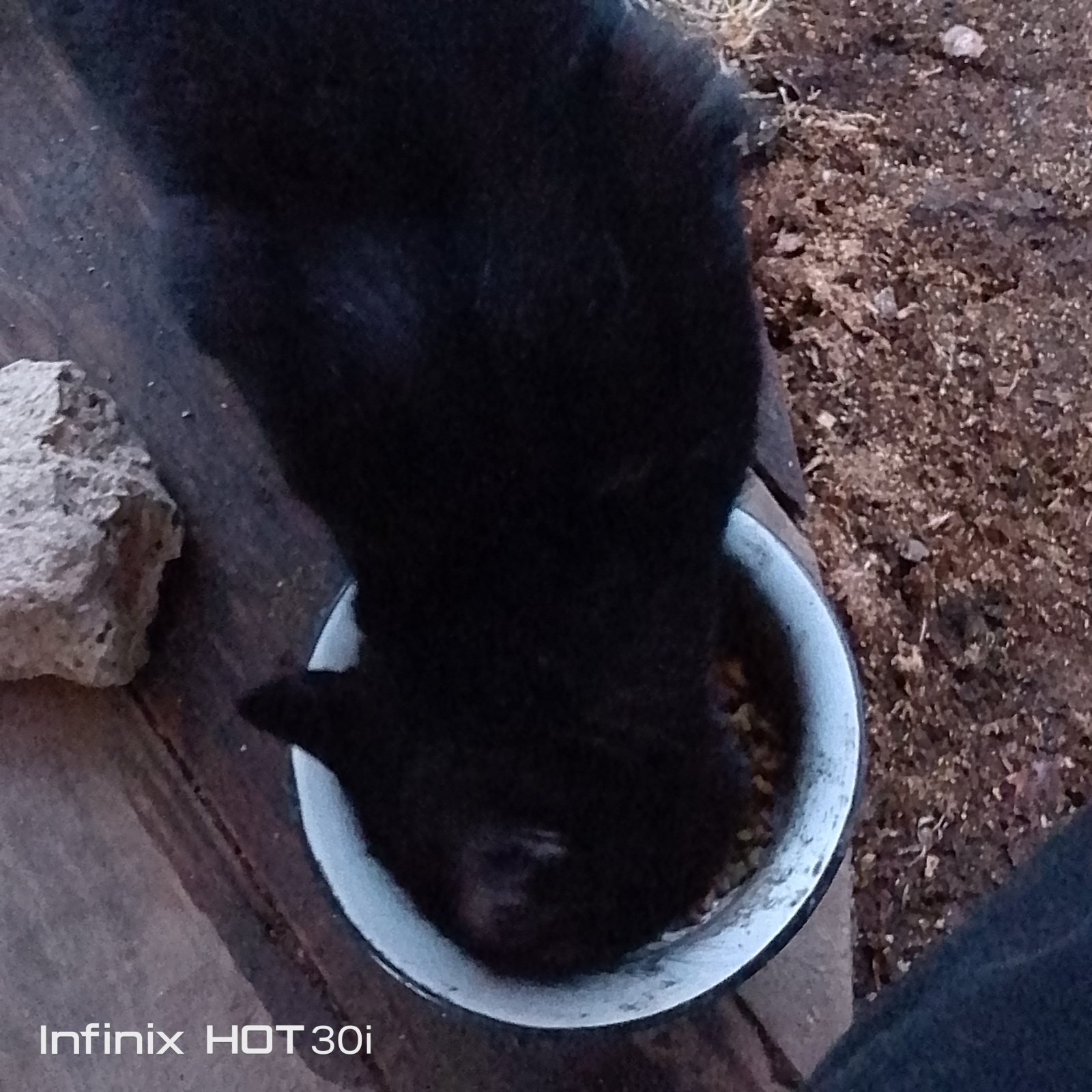Наш маленький огородик у дома,середина марта