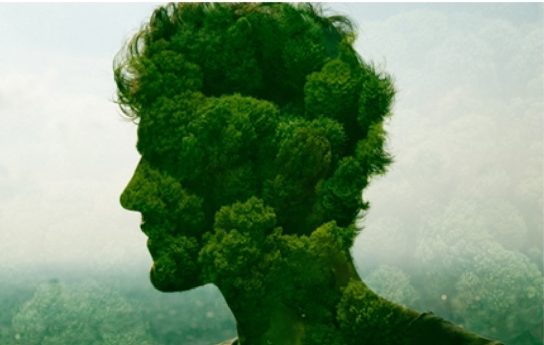 Человек не может не воевать