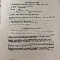 IMG_6712.jpeg
