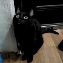 Иван, г. Екатеринбург