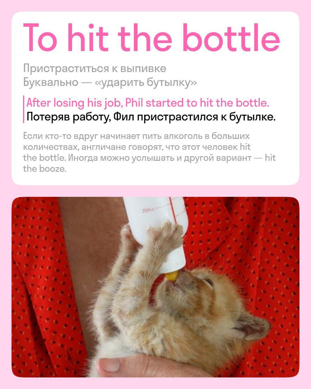 Алкоголь: История, культура и влияние на здоровье человека