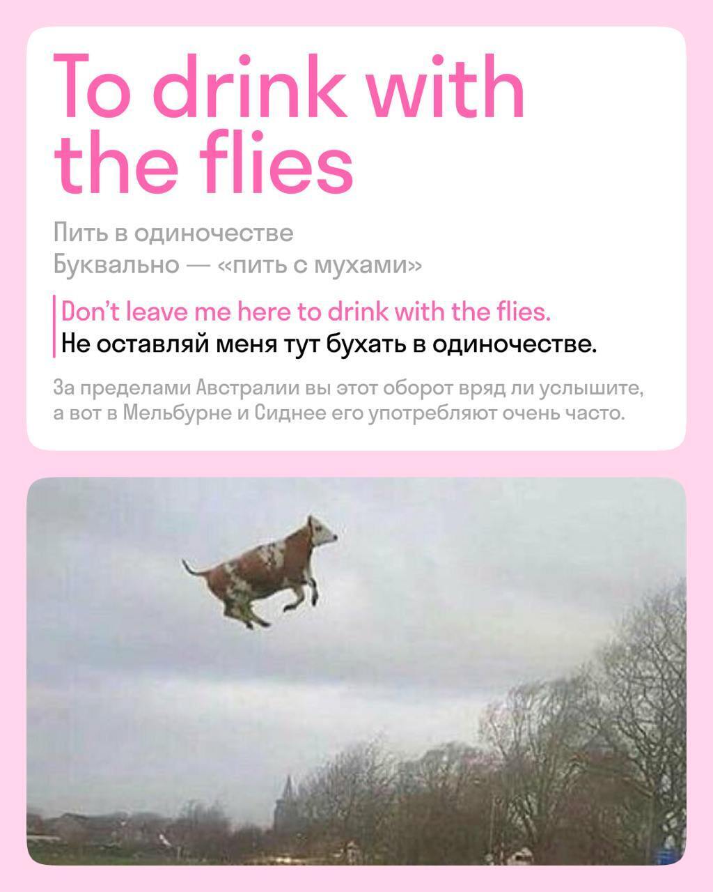 Алкоголь: История, культура и влияние на здоровье человека