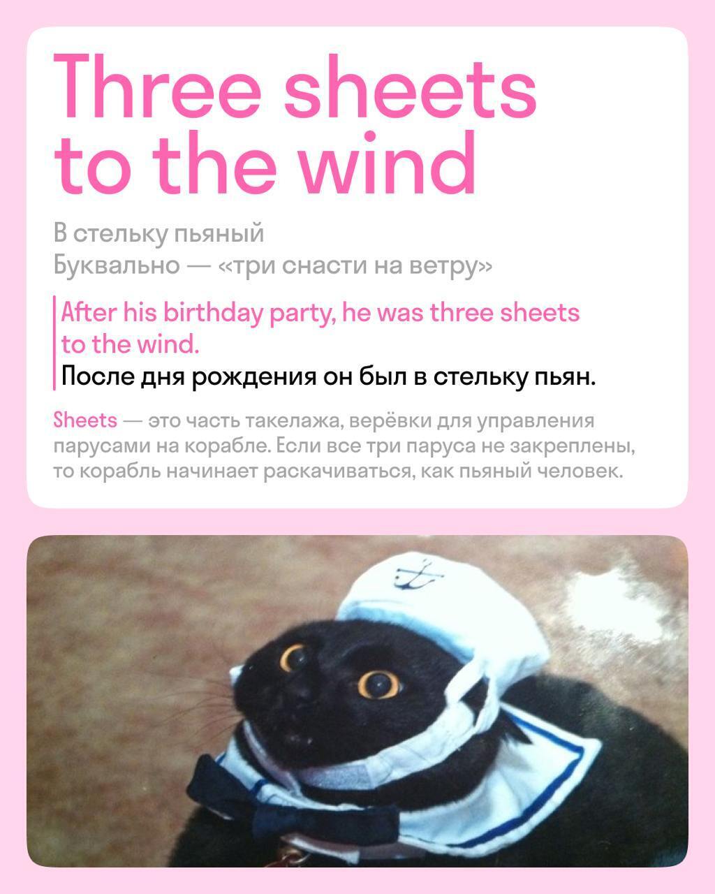 Алкоголь: История, культура и влияние на здоровье человека