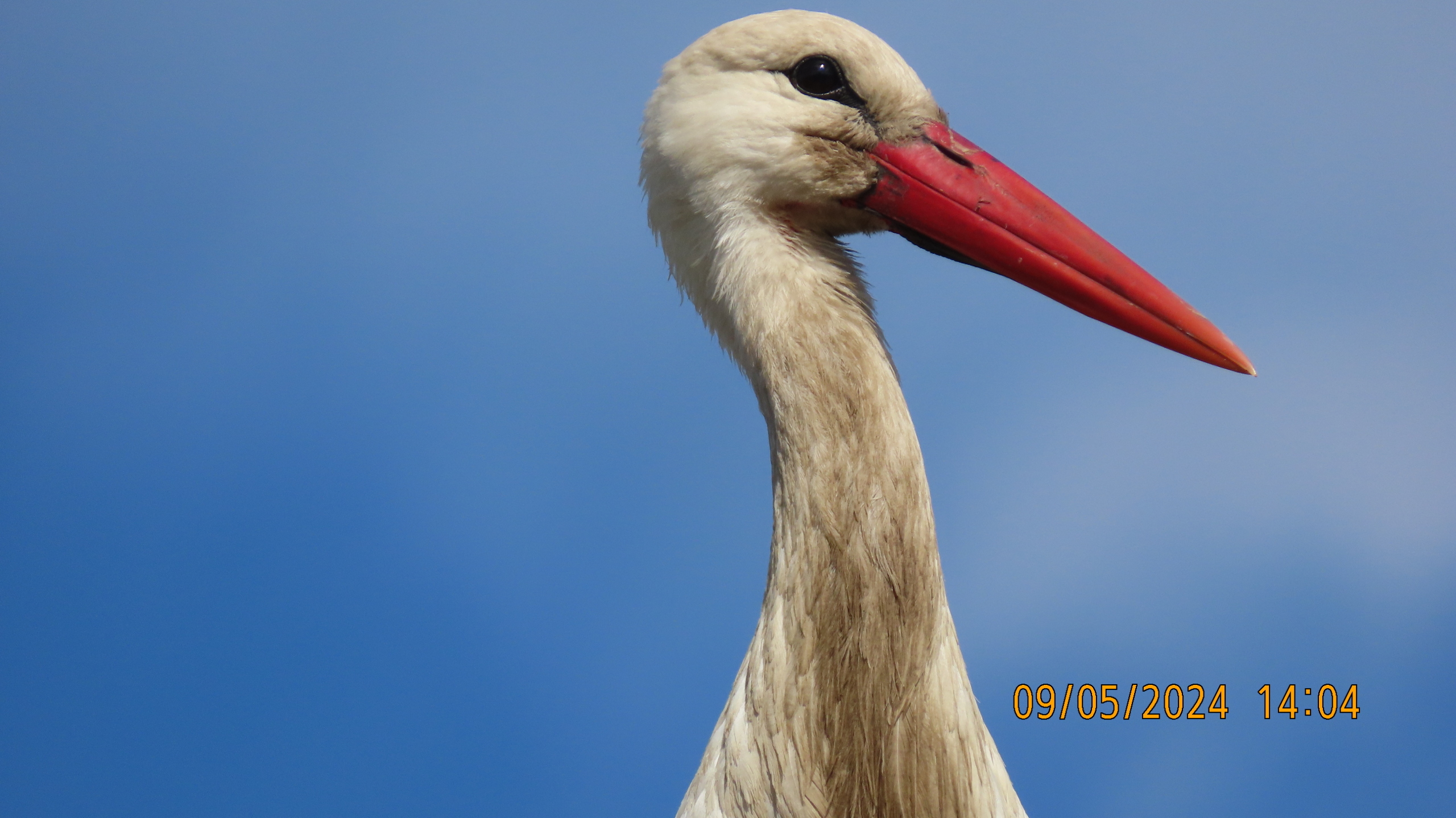 Непреложные законы природы.