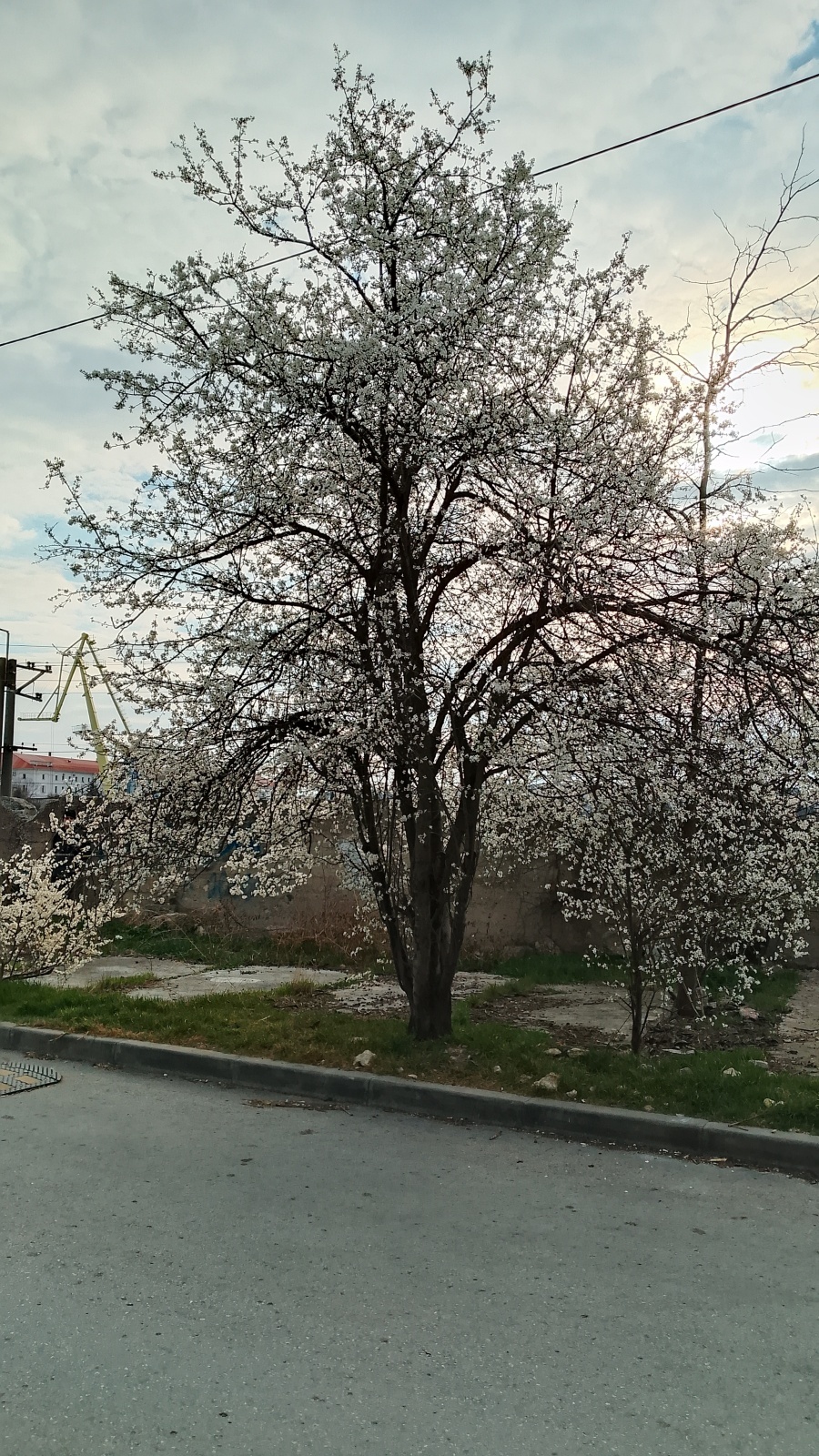 Март. Какой он у Вас?