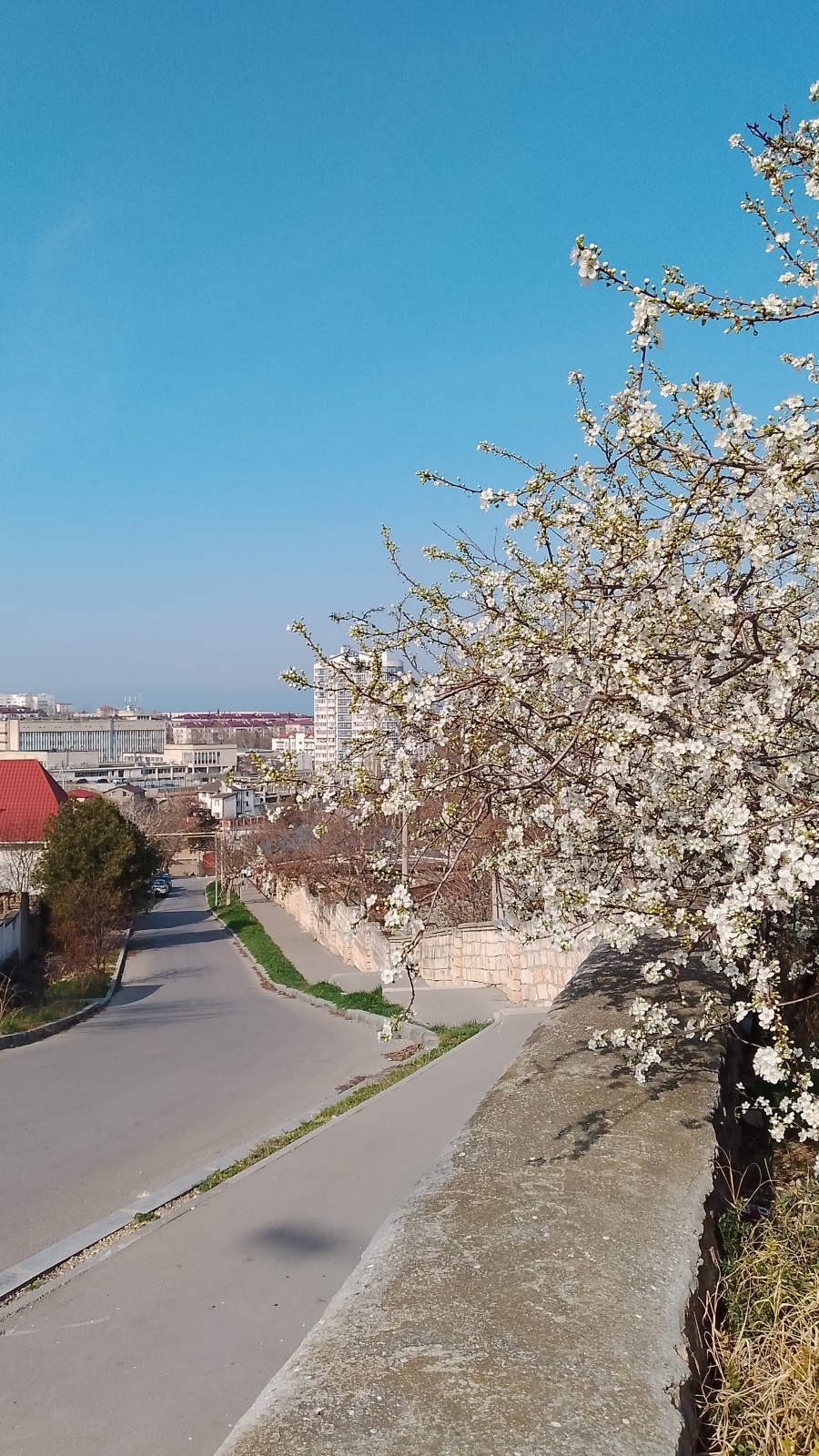 Март. Какой он у Вас?