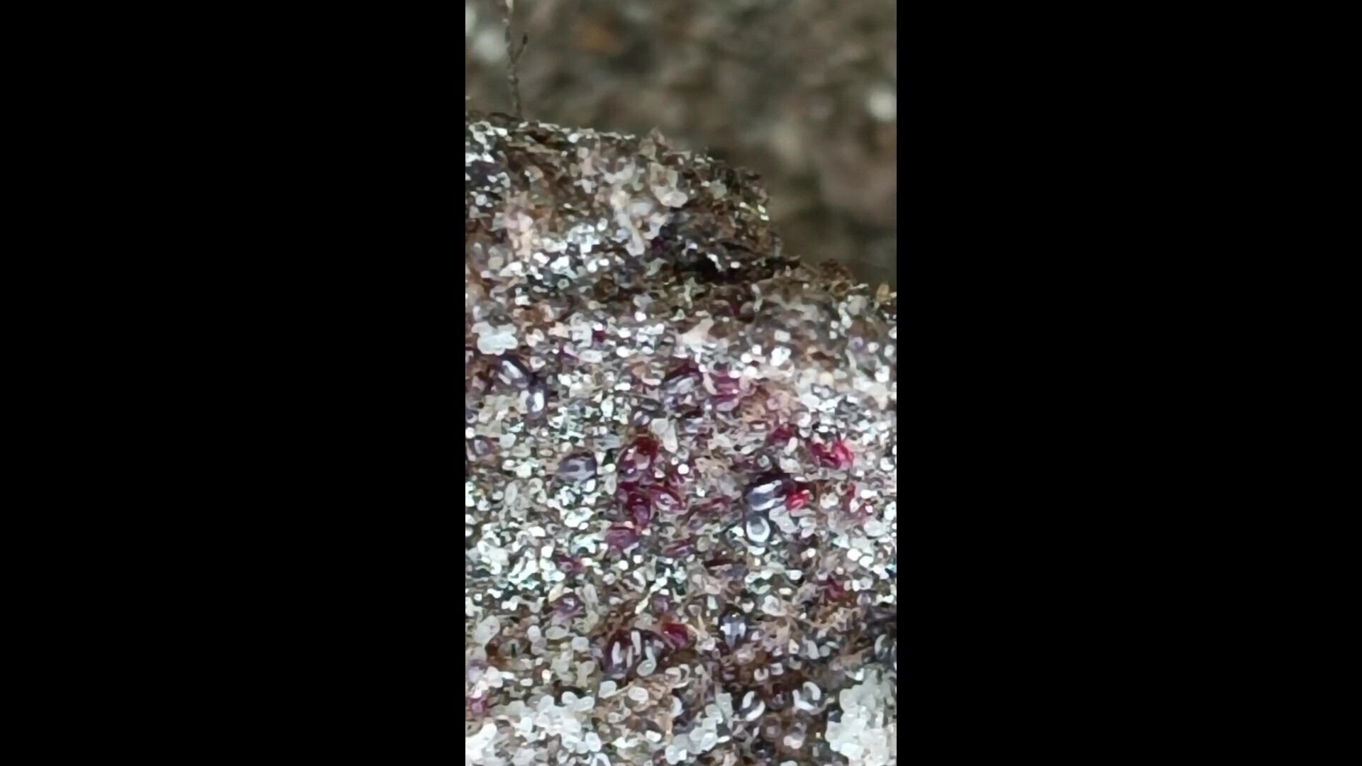 Непреложные законы природы.