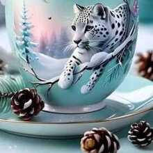 Сергей Алексеевич, г. Анадырь