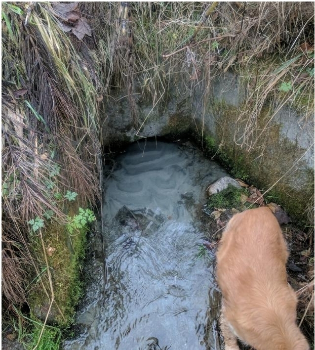 Кусочек рая обернулся филиалом ада. Как халатность властей и девелопера привели к трагедии 14 семей. (Часть 2).