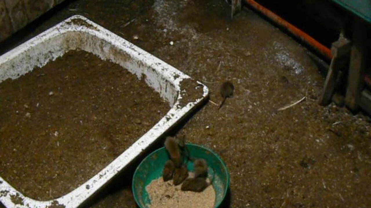 Непреложные законы природы.