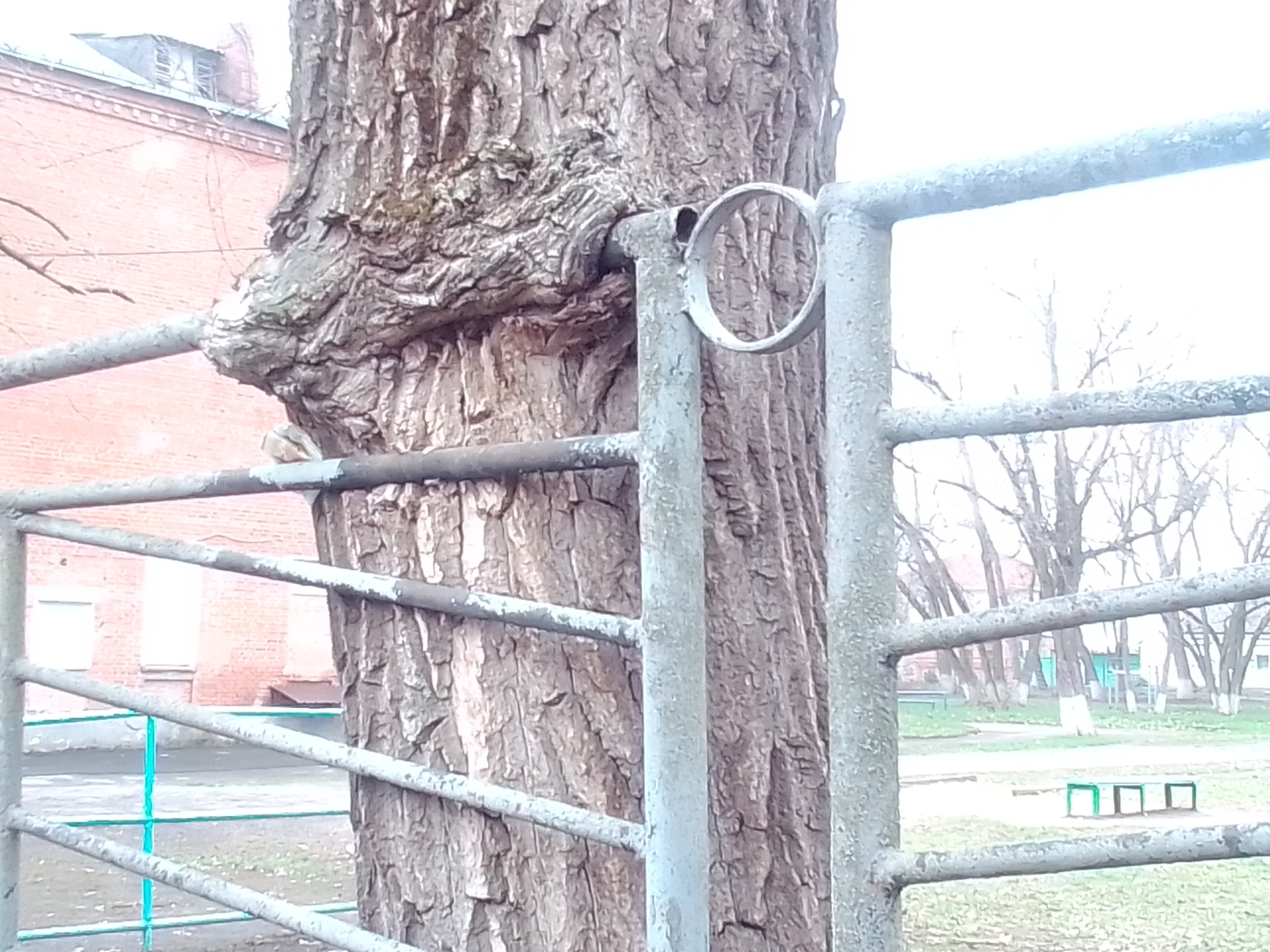 35 лет демократии в России! А есть ли изменения? На дворе 21 век, а мы все в прошлом живем.