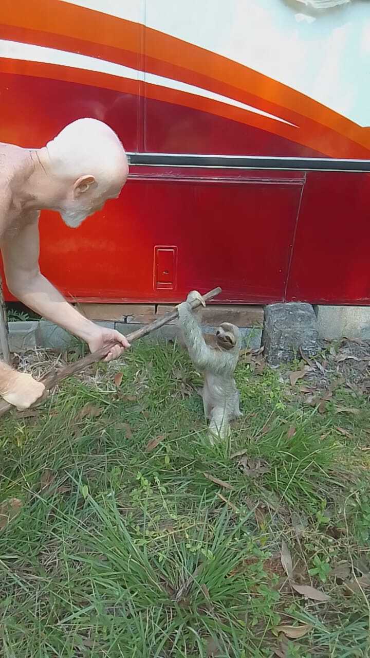 Миссия невыполнима? - Построить экзотический отель в тропической глуши за один месяц