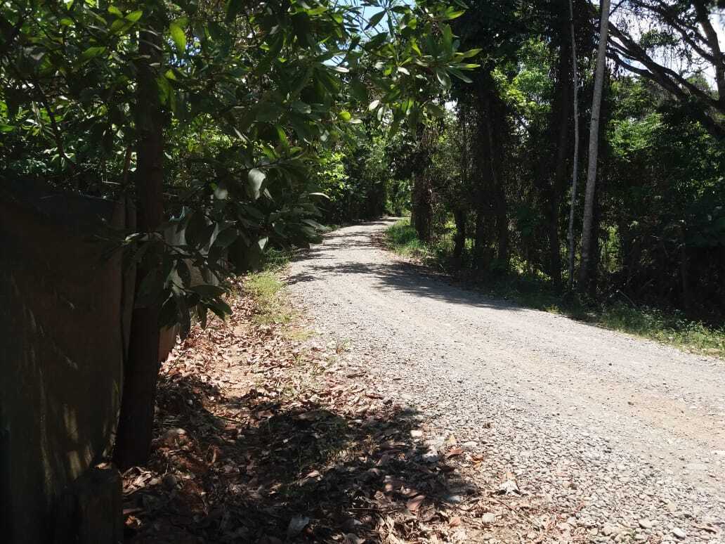 Миссия невыполнима? - Построить экзотический отель в тропической глуши за один месяц