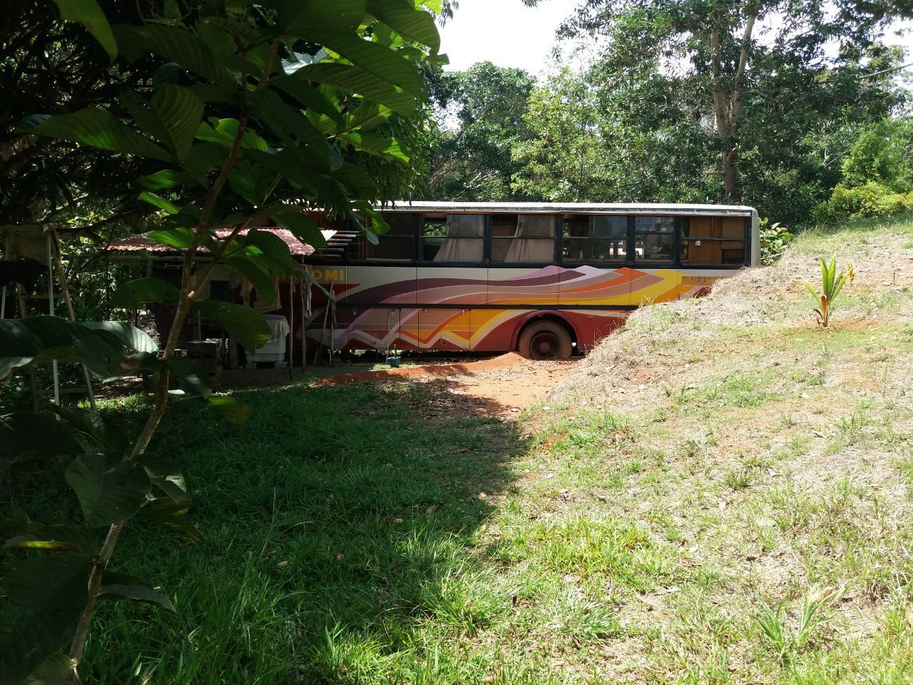 Миссия невыполнима? - Построить экзотический отель в тропической глуши за один месяц