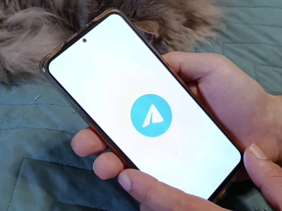 Новый «развод» на деньги. Как и зачем мошенники крадут «кружочки» с разговорами из Telegram?