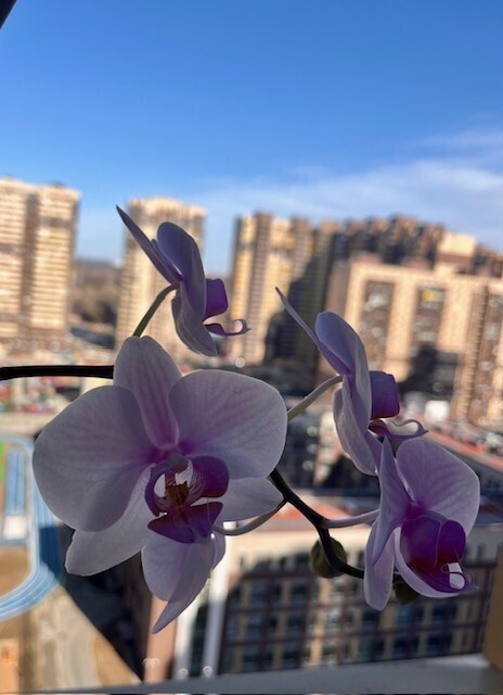 Соседские разборки! Как обычная жалоба моей соседки обернулась неприятностями для всех жильцов