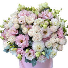 Олексенко Елена Анатольевна, г. Ростов-на-Дону