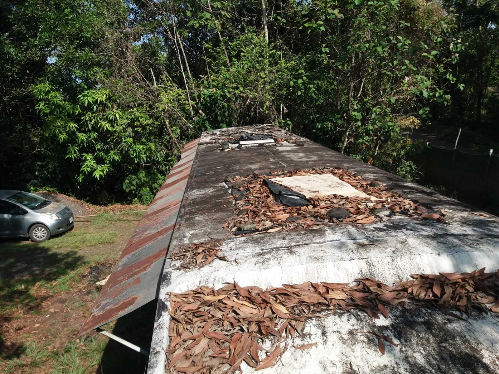 Миссия невыполнима? 6 апреля 2025 года, Центральная Америка. Проект проектом, но строить приходится, исходя из суммы, которую я выиграл в суде