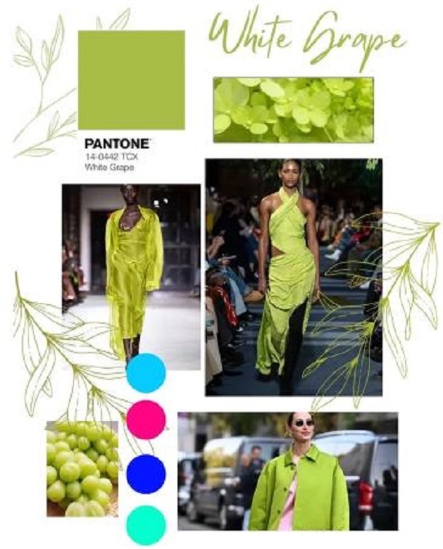 Модная палитра 2025 года