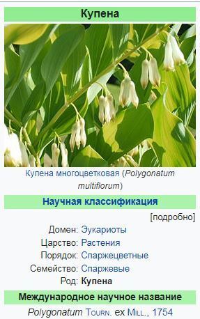 Полезно много знать про "Соломонову печать"