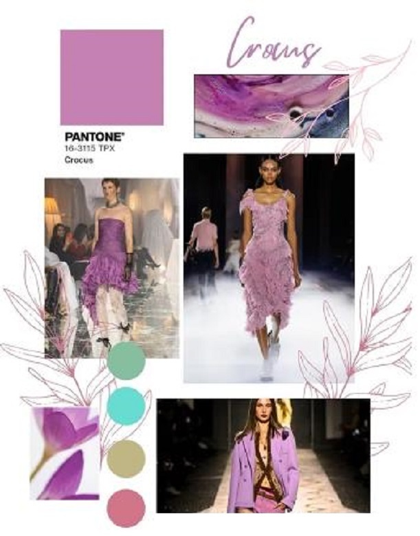 Модная палитра 2025 года