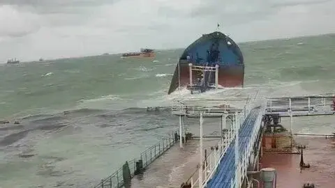 Дорогая катастрофа: ущерб экологии от крушения танкеров в Черном море составил 84,9 млрд рублей. Кто заплатит эти деньги?