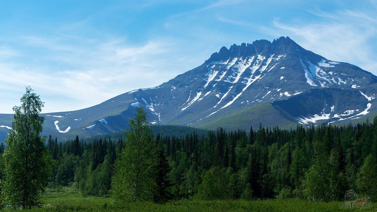 Уральские горы: кого и что можно встретить?