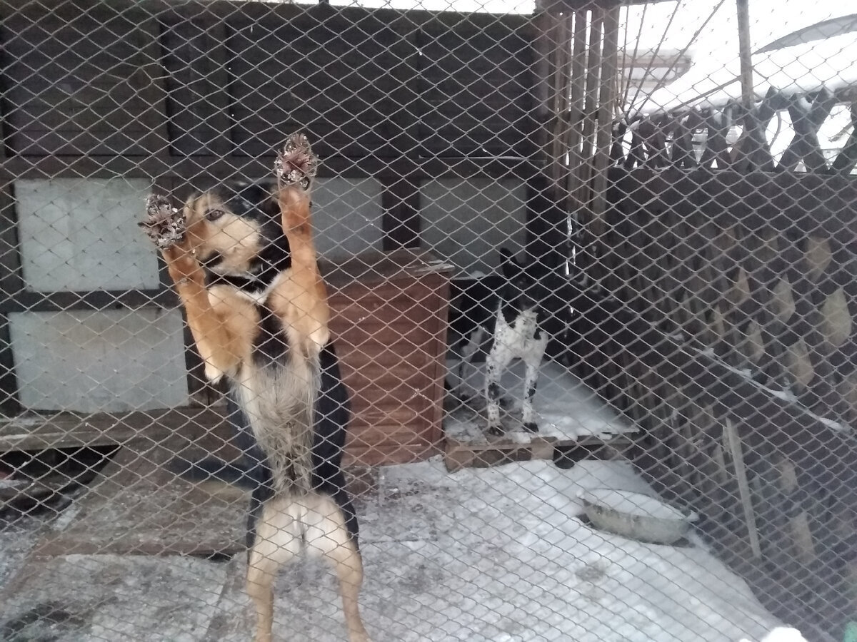 Мой "День Свободный от Забот"