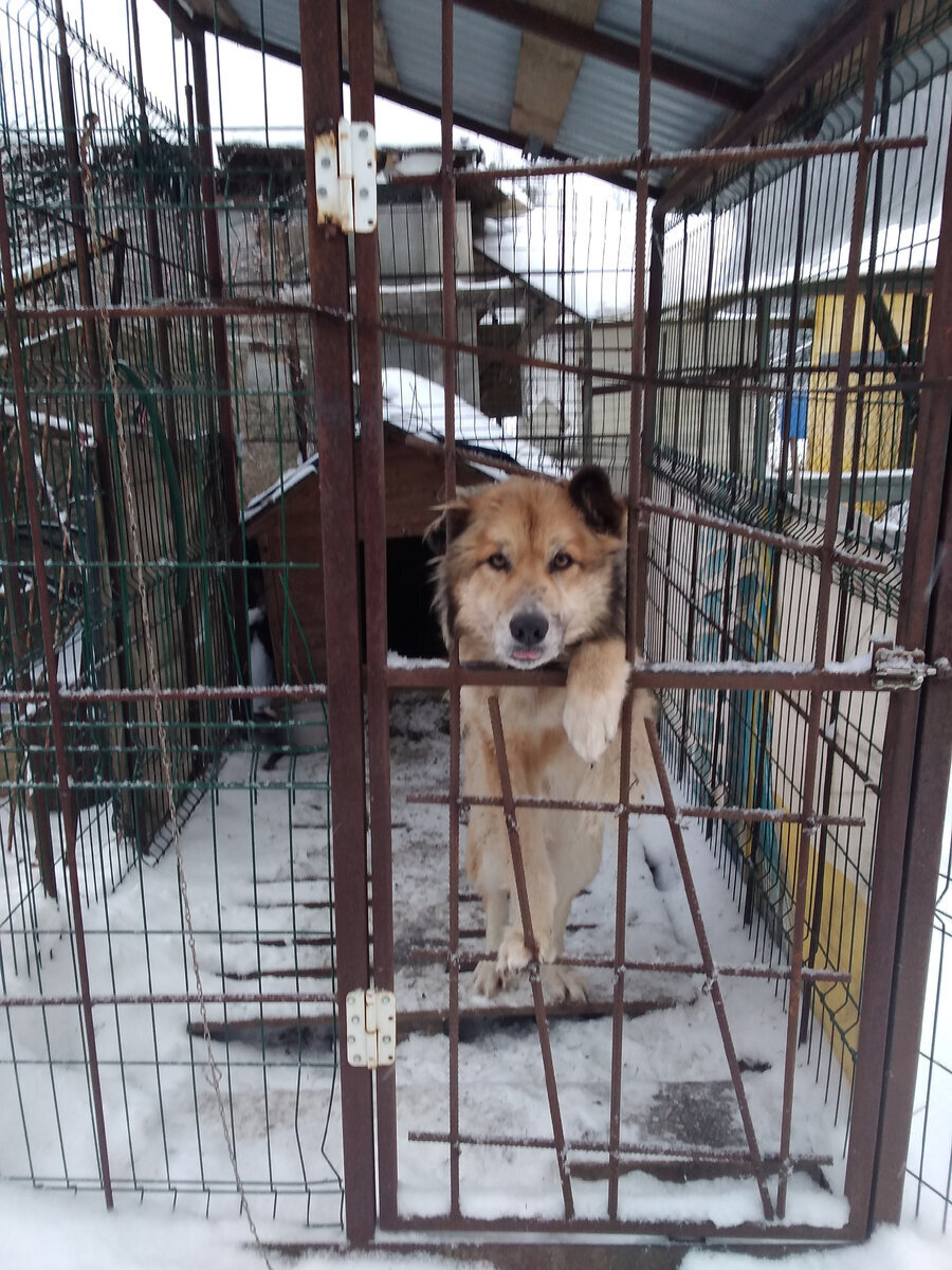 Мой "День Свободный от Забот"