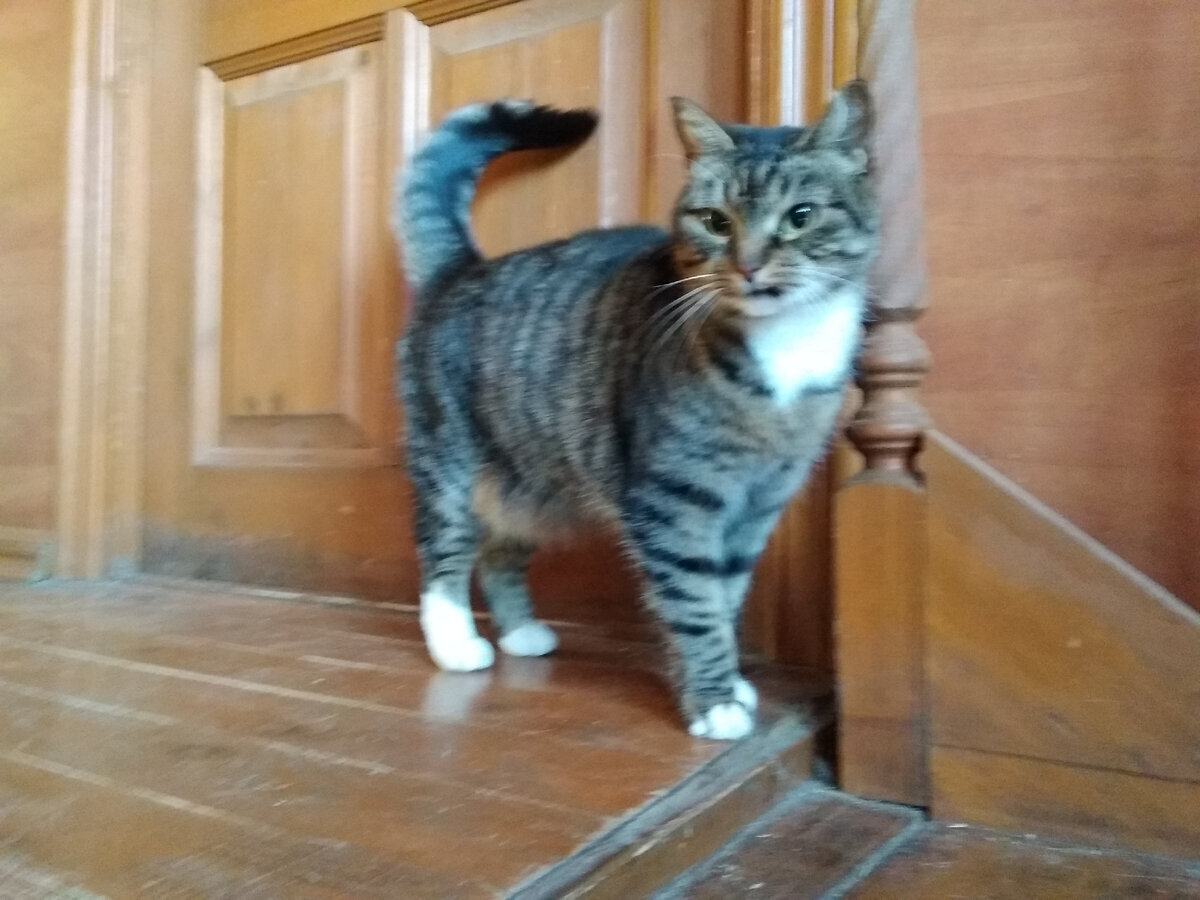 Мой "День Свободный от Забот"