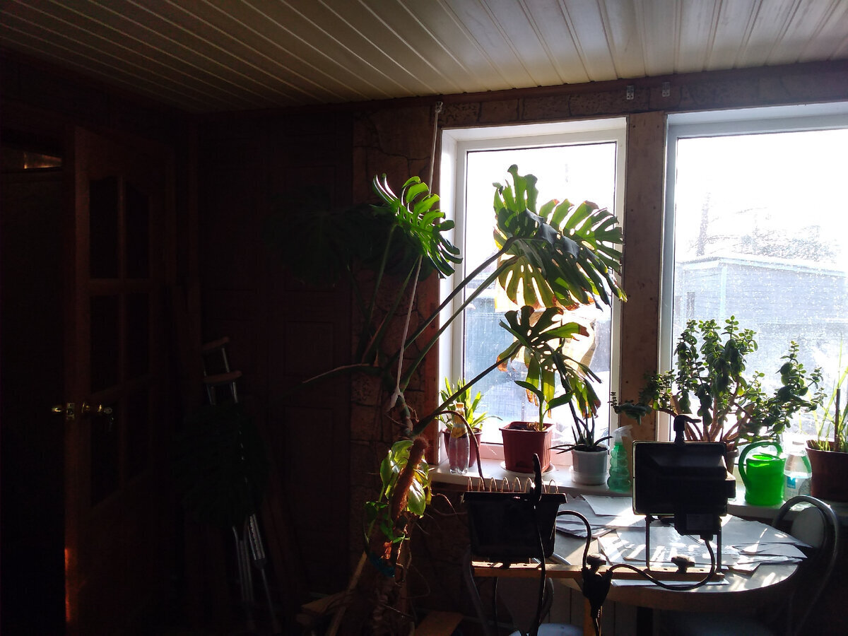 Мой "День Свободный от Забот"