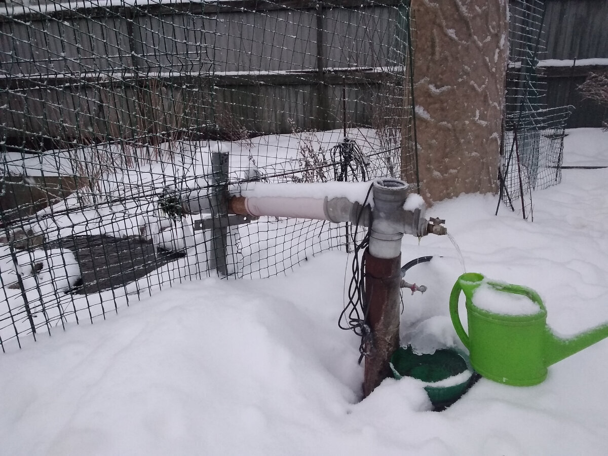 Мой "День Свободный от Забот"