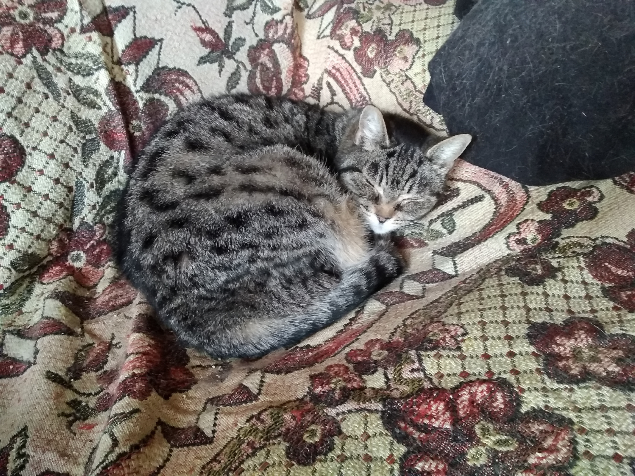 Мой "День Свободный от Забот"