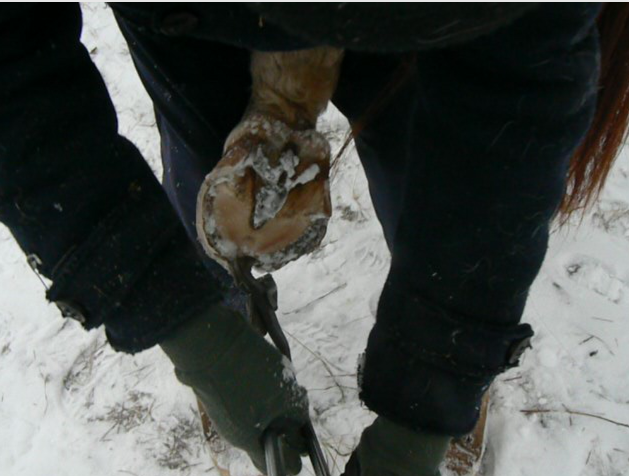 Мой "День Свободный от Забот"